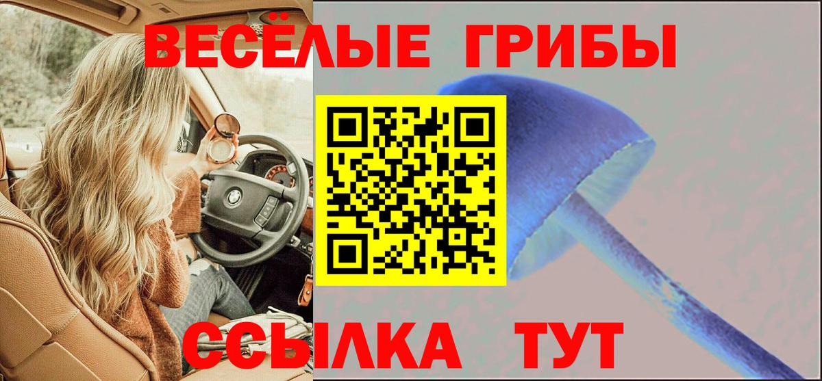 Светлоград  Псилоцибиновые грибы Magic Shrooms  Вход с VPN 